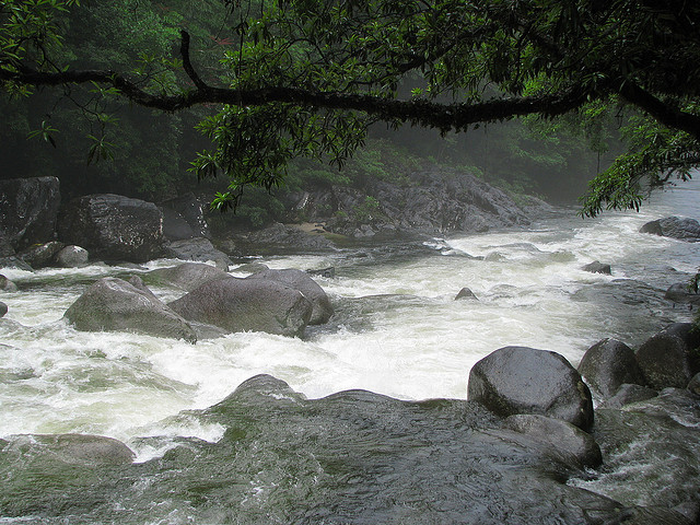 Mossman River (photo by  tanetahi)