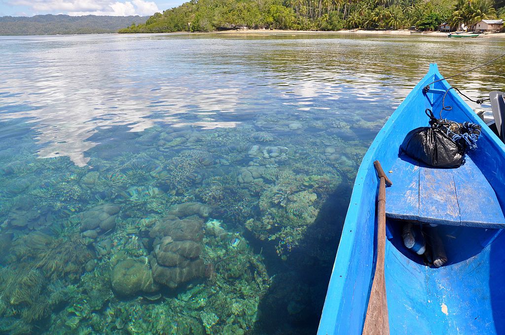Boat_and_corals_near_Pulau_Gam,_Raja_Ampat