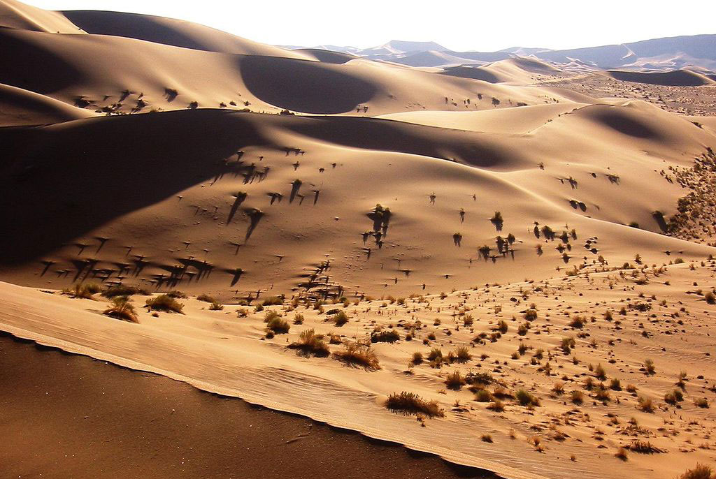 1024px-Namib_Desert_Namibia(1)