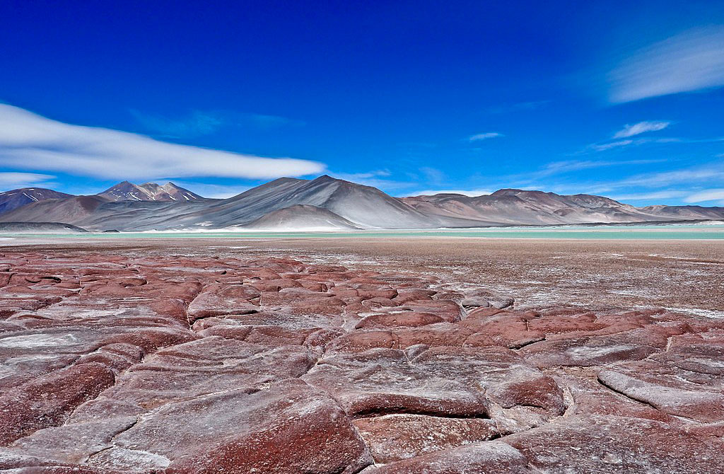 1024px-Piedras_Rojas,_Atacama_Desert,_Chile