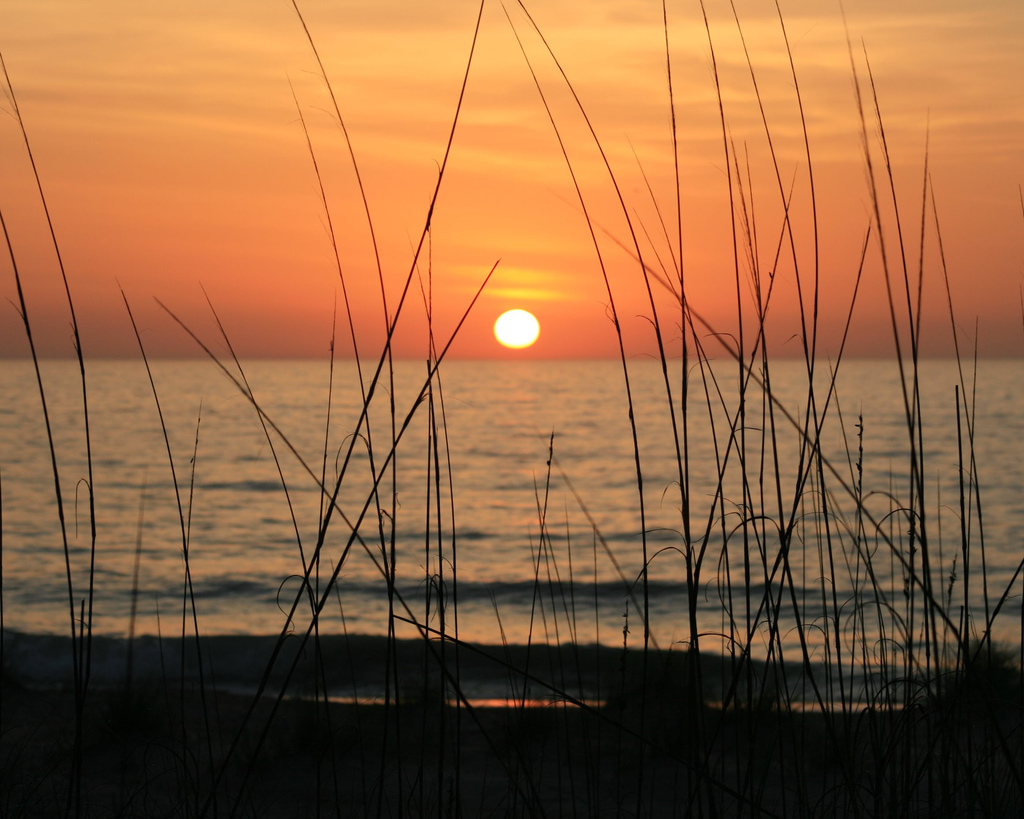horseback riding on the beach