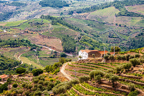 Douro Valley Portugal