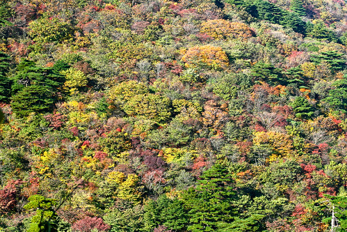 Huanshan Mountain China
