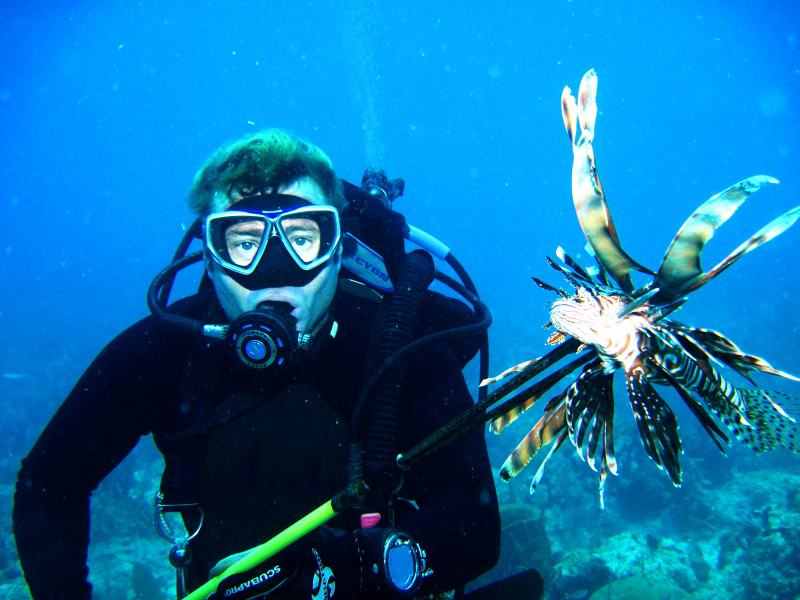 Lionfish Spear fishing