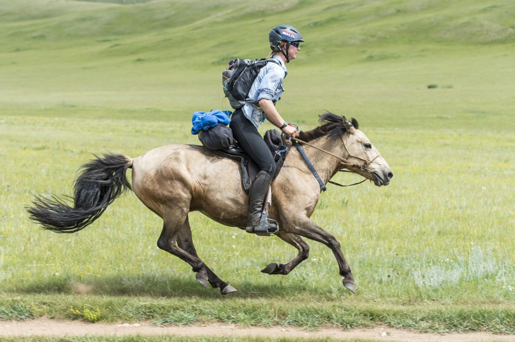 endurance rider  Tips and Hints for Endurance Riding