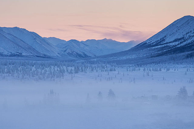 640px-Oymyakon_forests