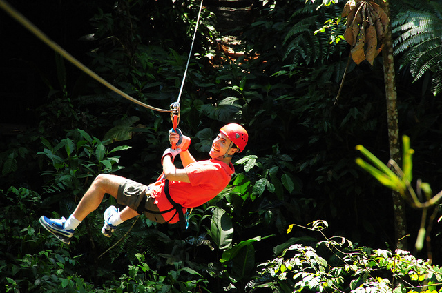 Zip Lining, David Berkowitz