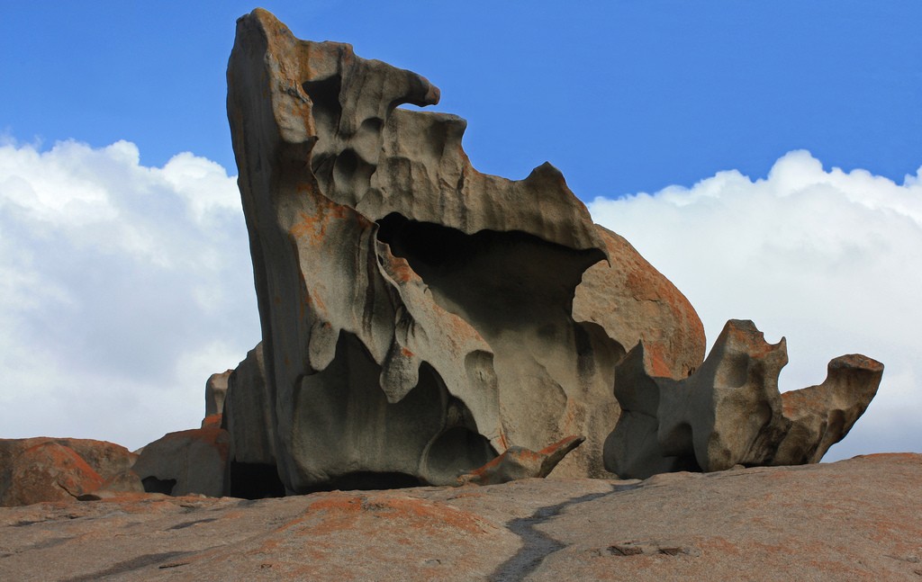 Kangaroo Island (photo by Robert Hoge)