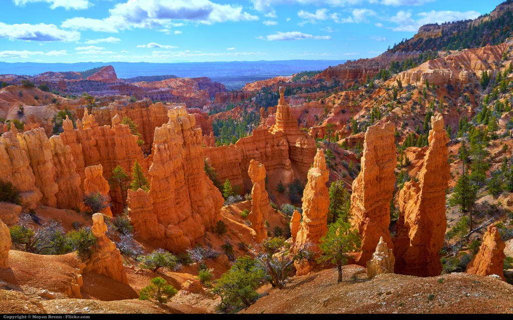 Bryce Canyon (photo by Moyan Brenn)