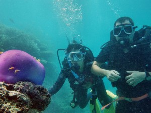 best adventures in australia