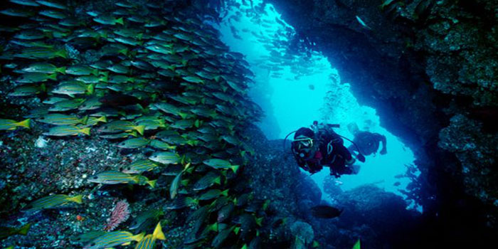 Coco's Island Diving (Image Credit: National Geographic)