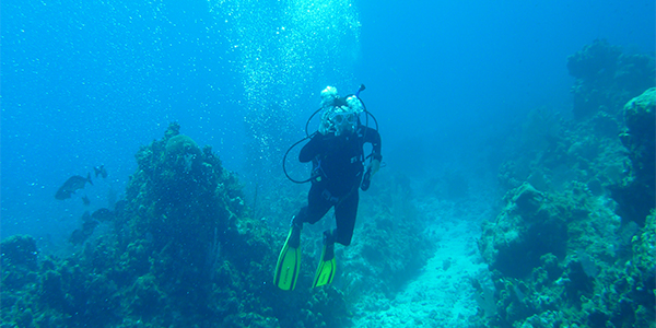 Scuba Diving in Cayman Islands (Photo by TheSquirrelfish)