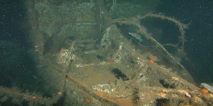 German U-869 Wreck (Image Credit: U869)