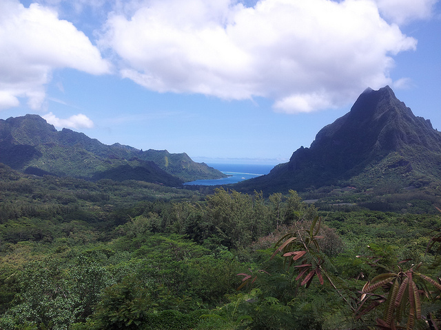 Best Hiking Spots on Island Paradises