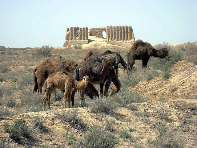 Merv (photo by David Stanley) visit turkmenistan