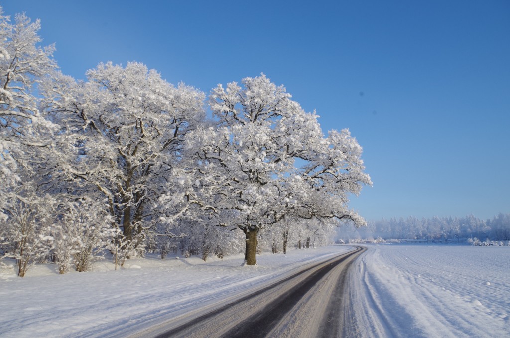 winter adventures in the baltics