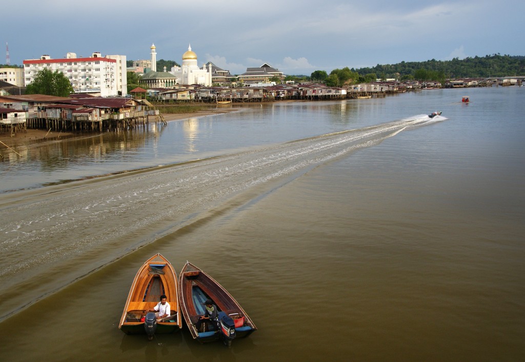 activities in Borneo