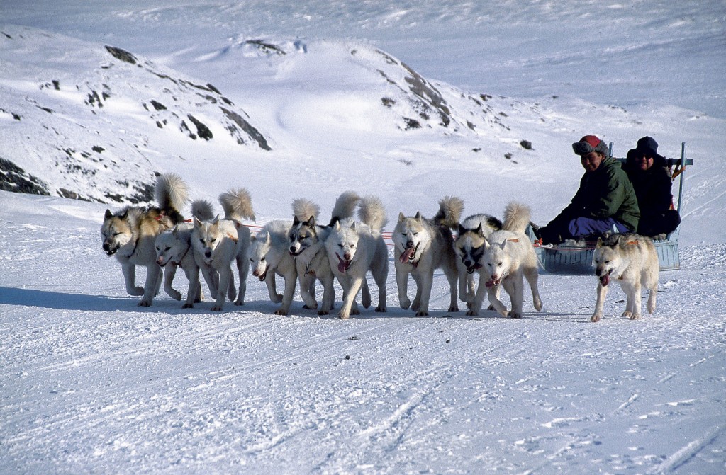 adventure travel in Greenland