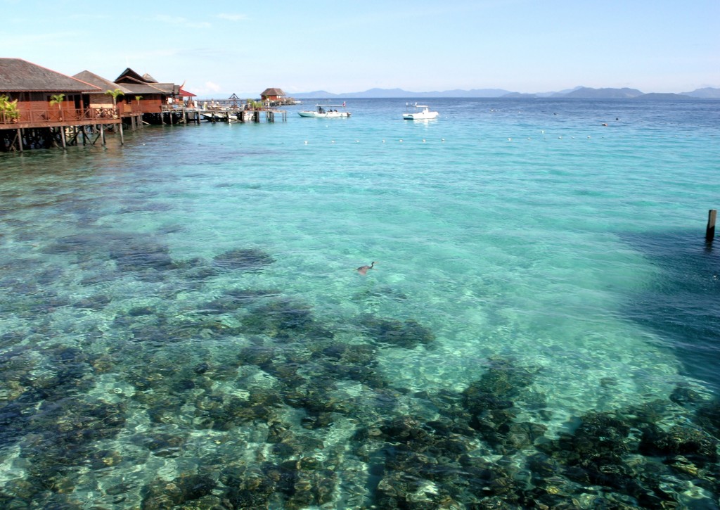 activities in Borneo