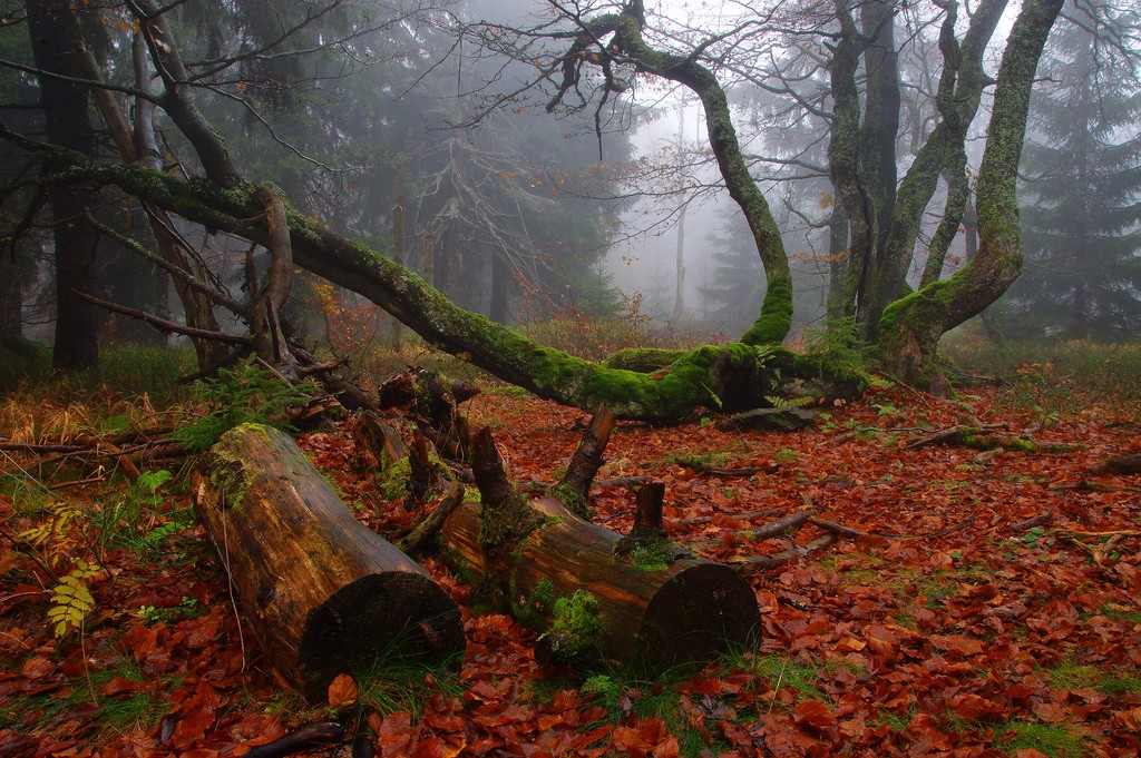 autumn adventures in czech republic 