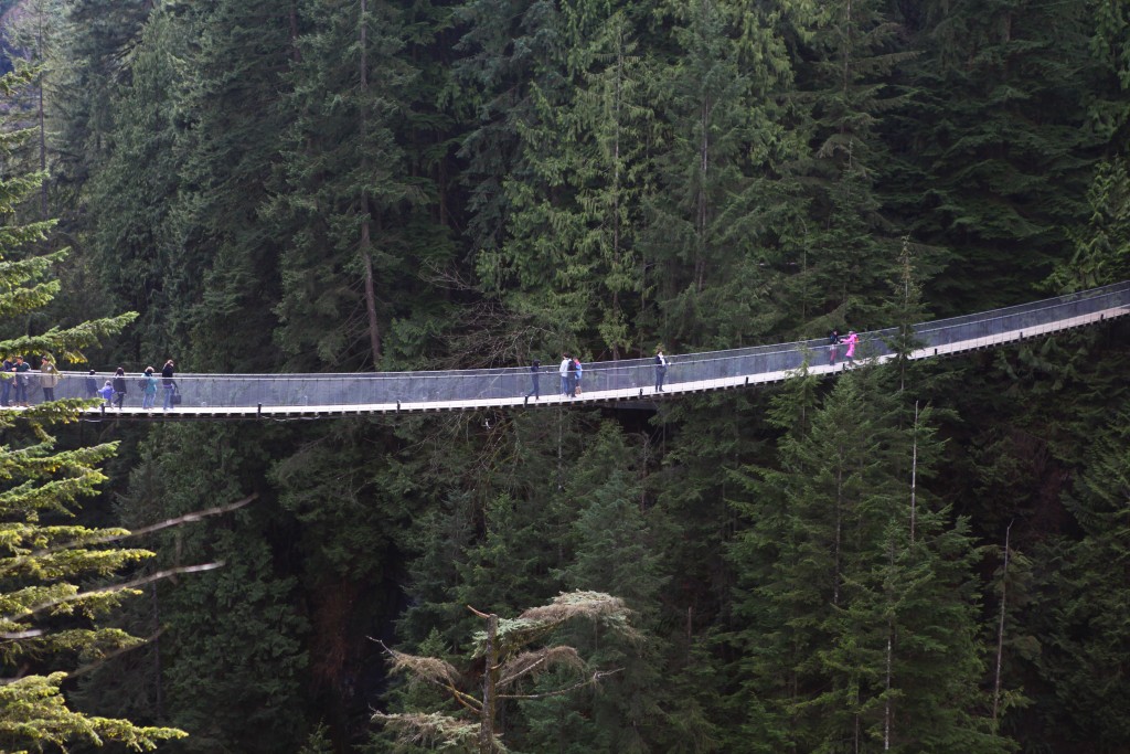 scary suspension bridges
