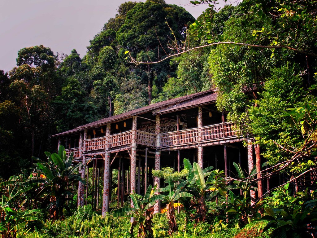 activities in Borneo