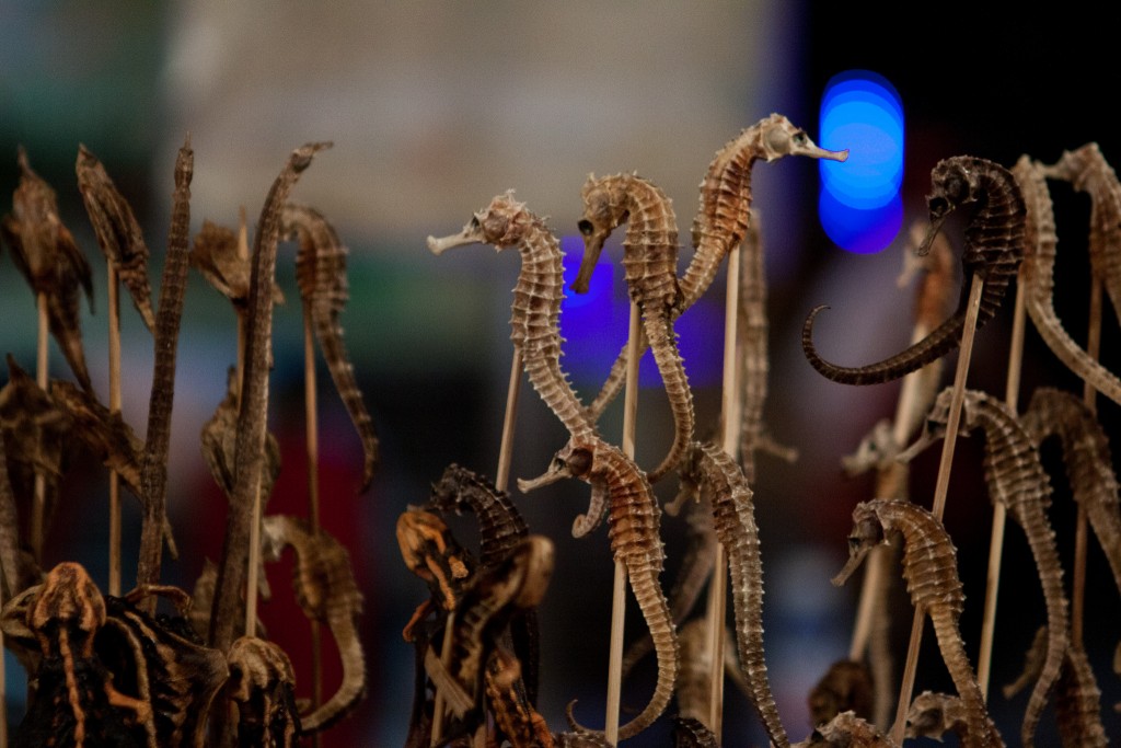 worlds weirdest food