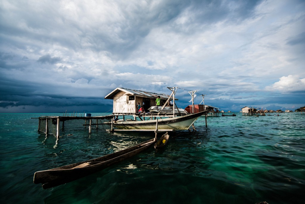 activities in Borneo