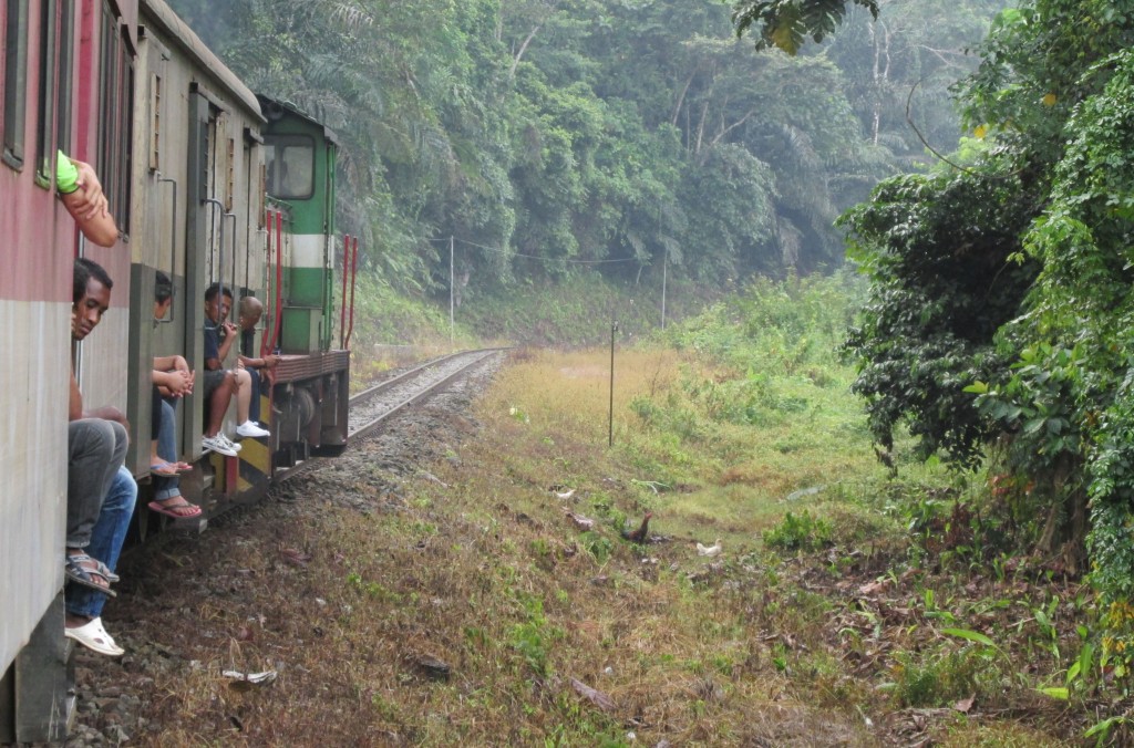 activities in Borneo