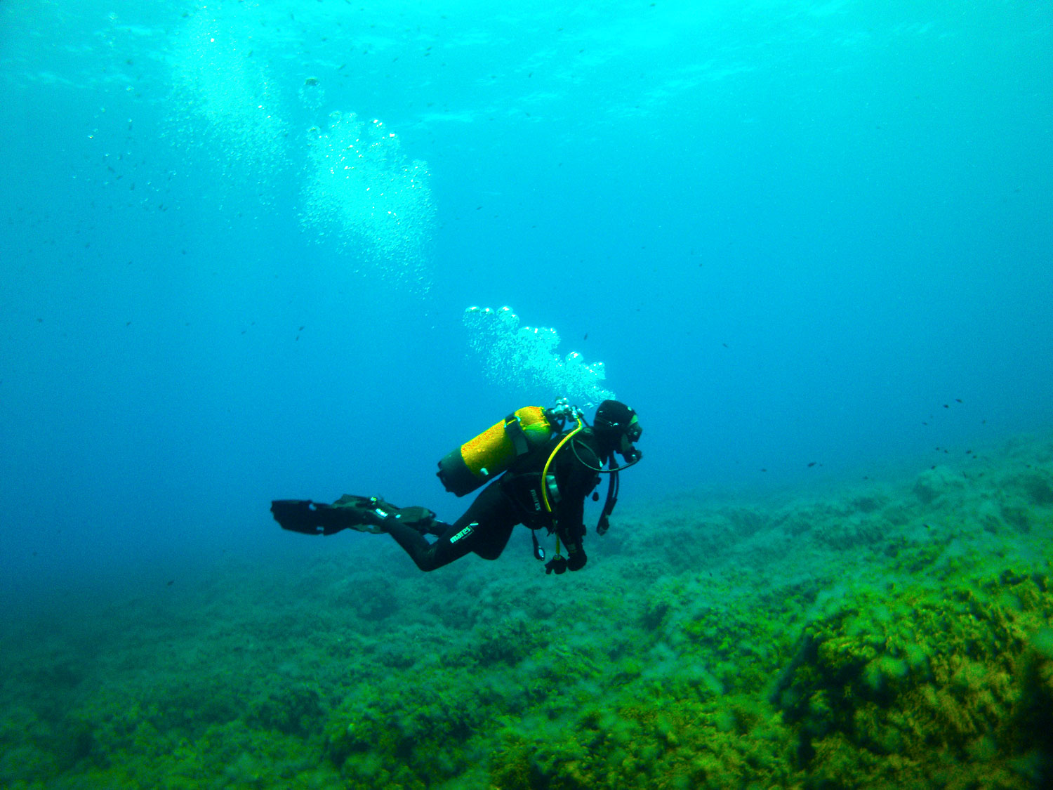 How to Get Your Scuba Diving License - Adventure Herald