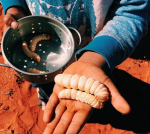 worlds weirdest foods