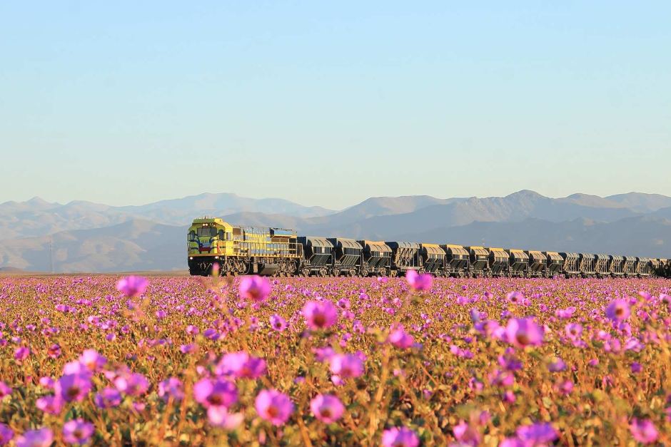 Atacama Desert