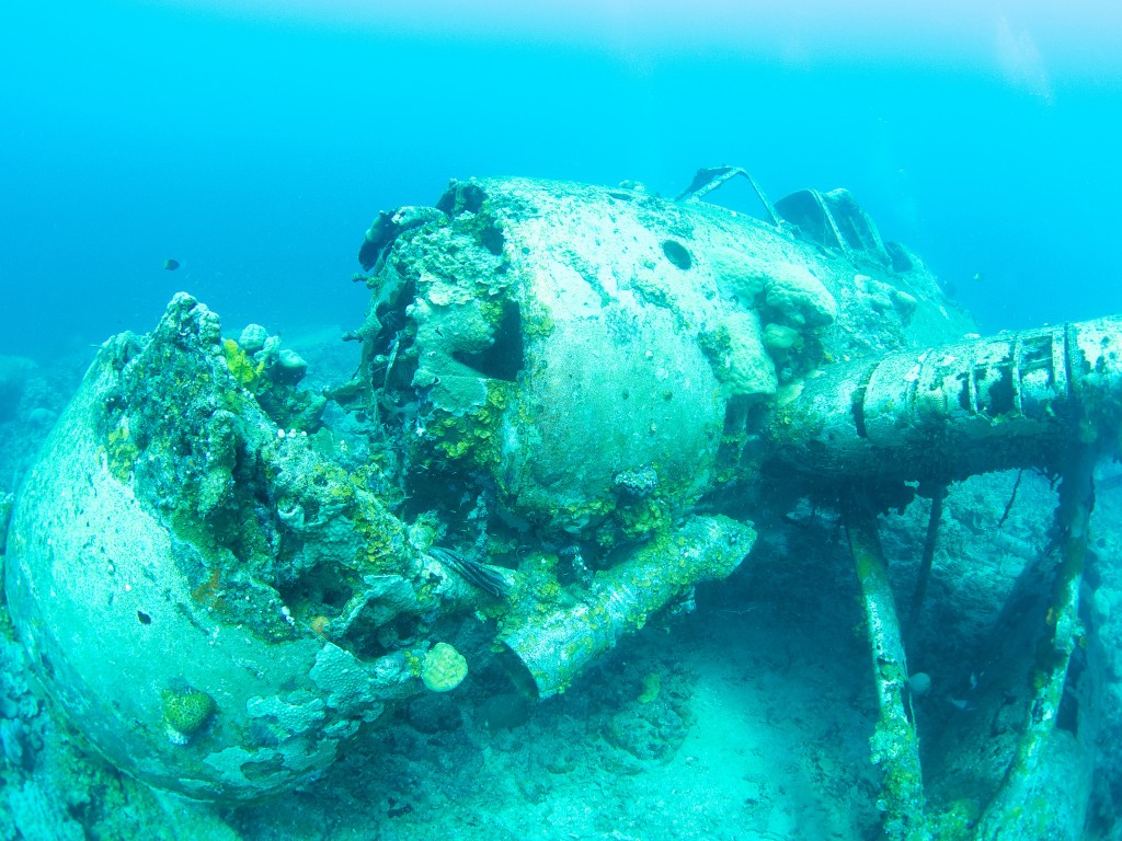 world's best wreck dives