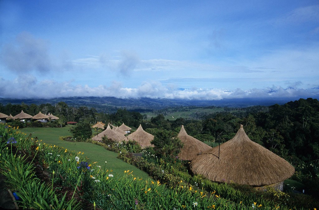 adventures in Papua New Guinea