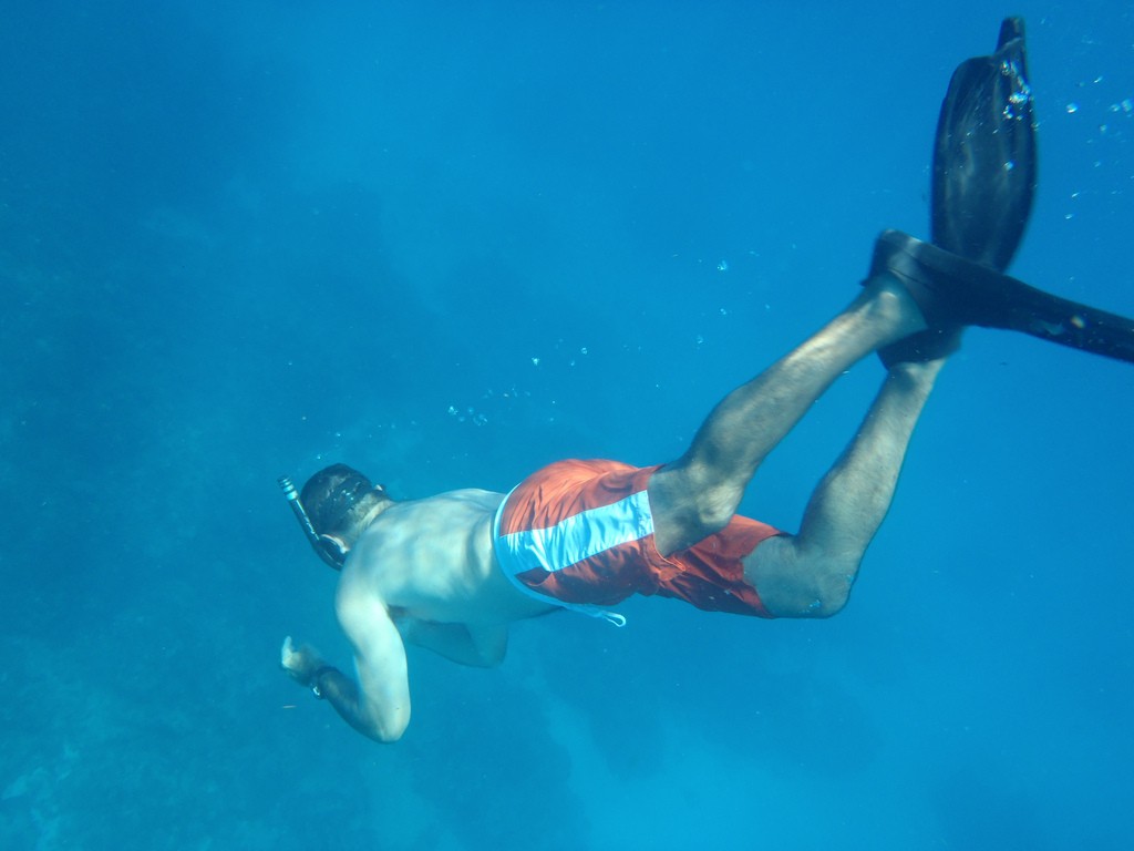 What is Free Diving? - Adventure Herald