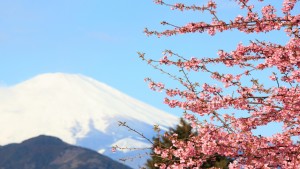 Japan guide for adventure travelers