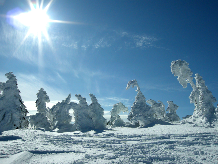 Where to ski in japan