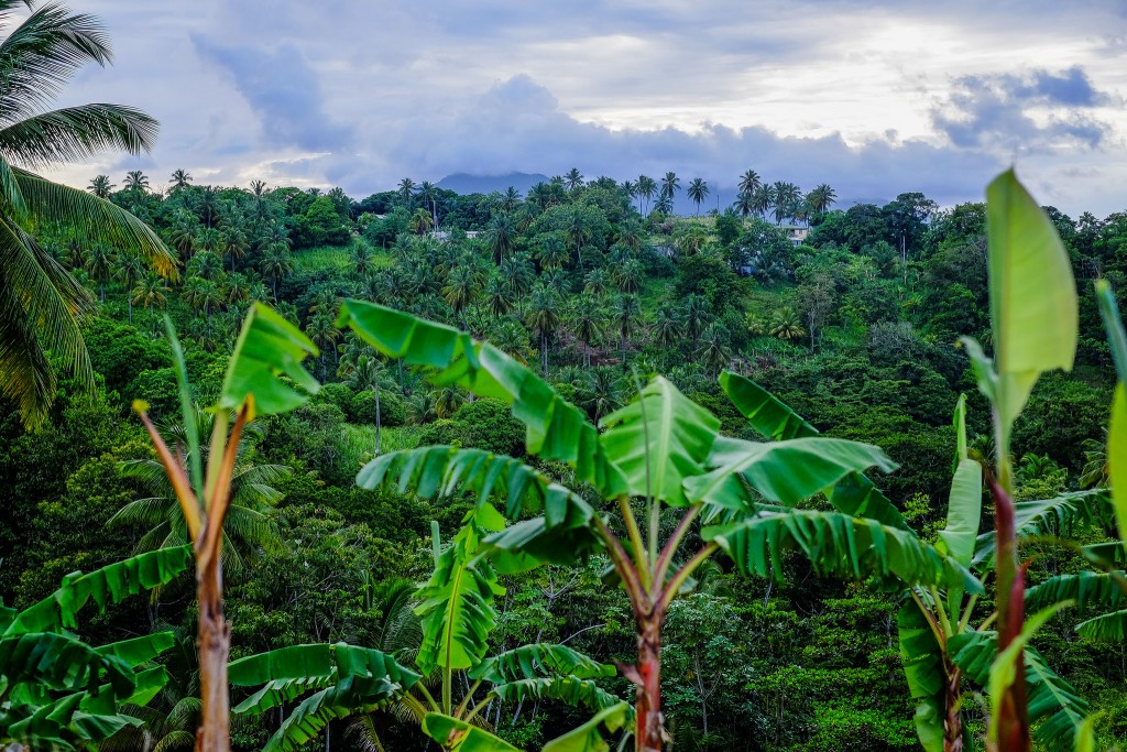 Dominica