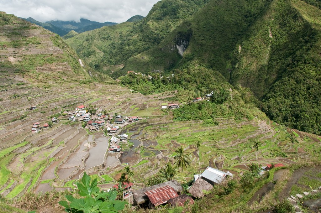 Rice Terraces of the Philippine Cordilleras