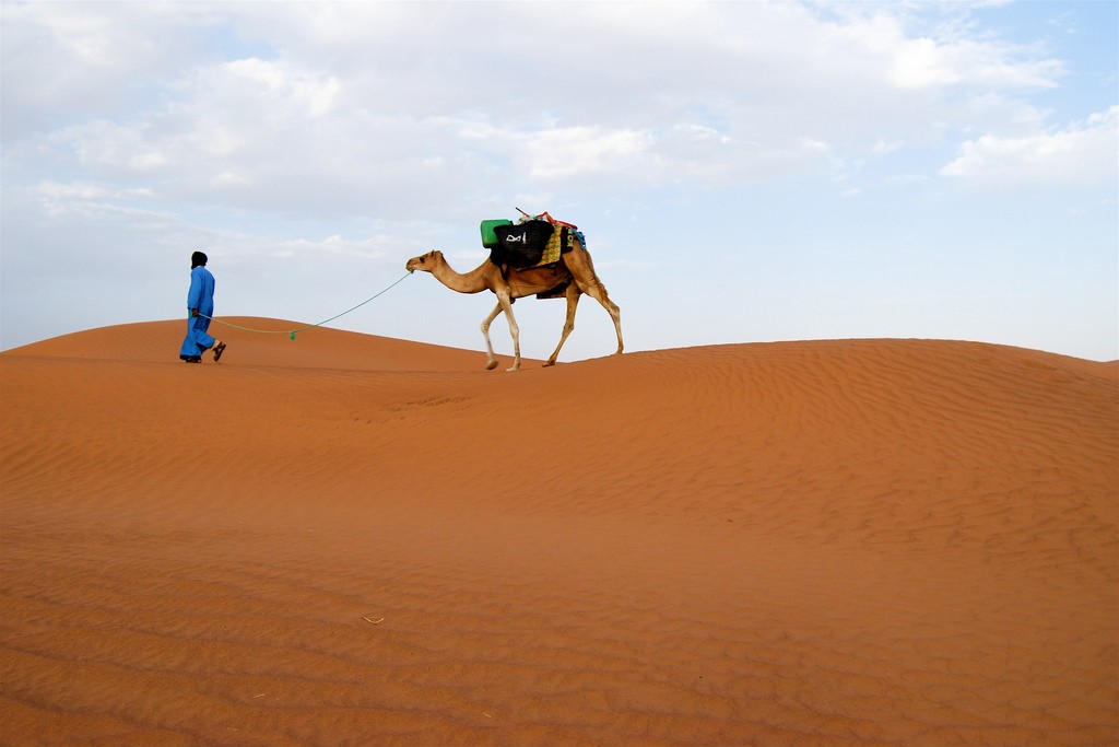 Sahara Desert