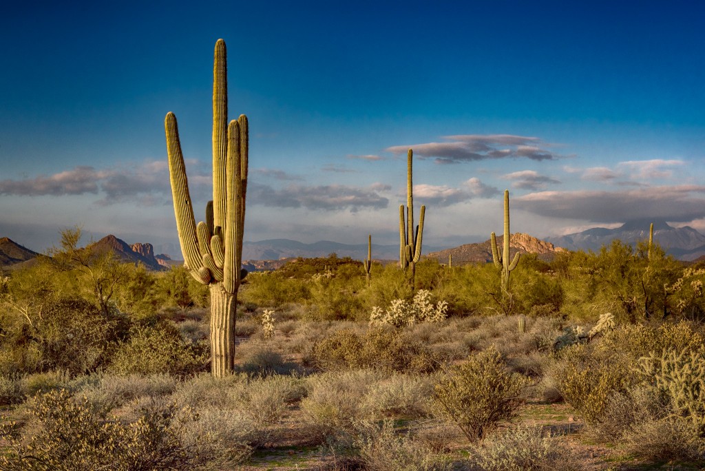Most Beautiful Deserts in the World