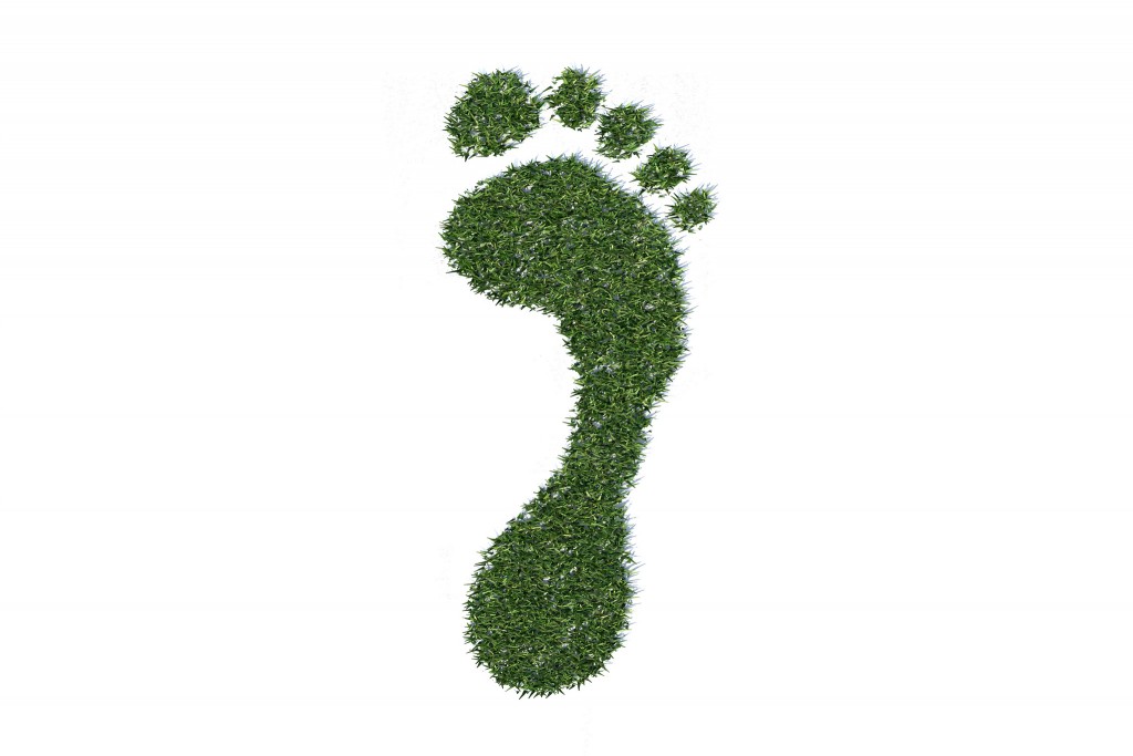 sustainable travel