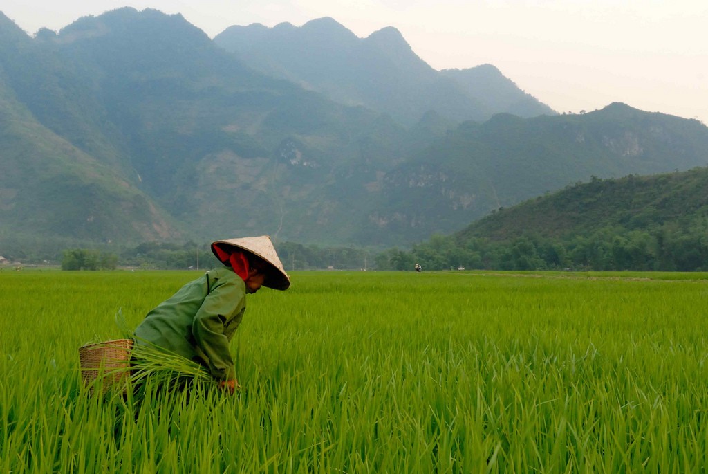 Southeast Asia Backpacking