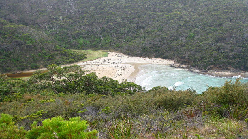 camping spots in Australia