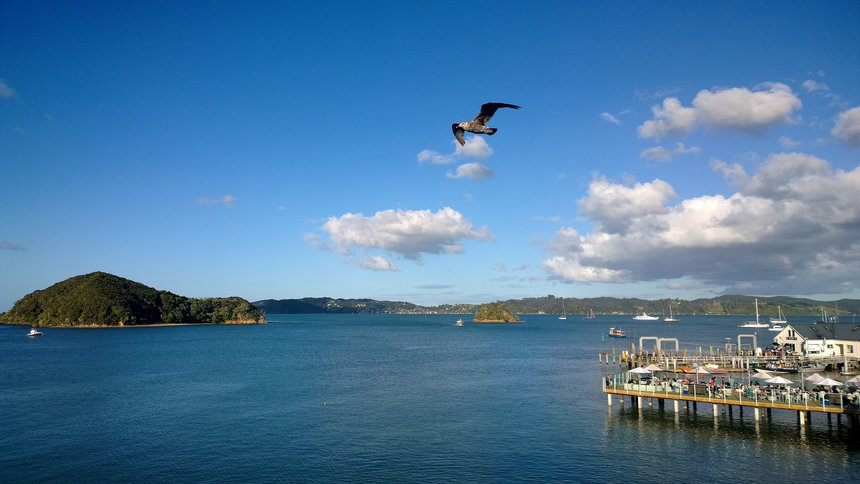 camping spots new zealand