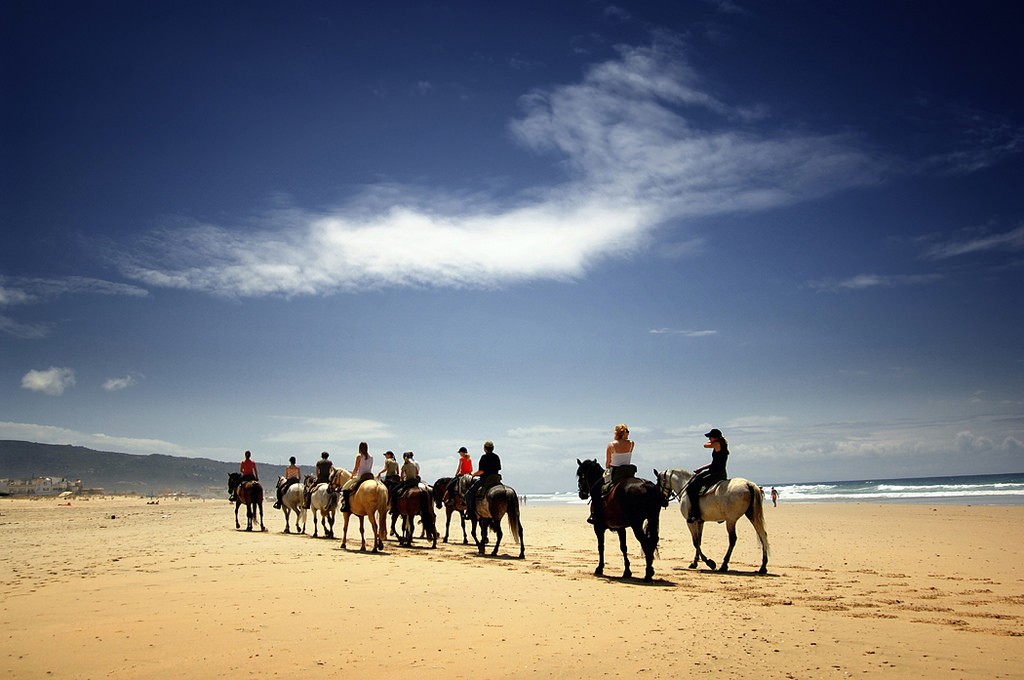horse back riding beach