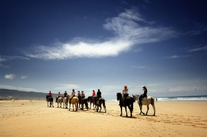 horse back riding beach