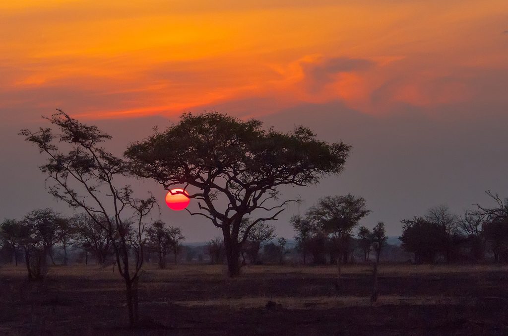 Africa
