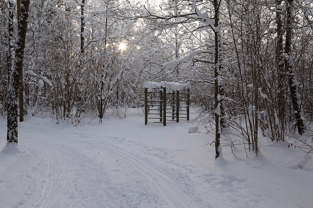 1024px-Saue,_Harju_County,_Estonia_-_panoramio_(22)