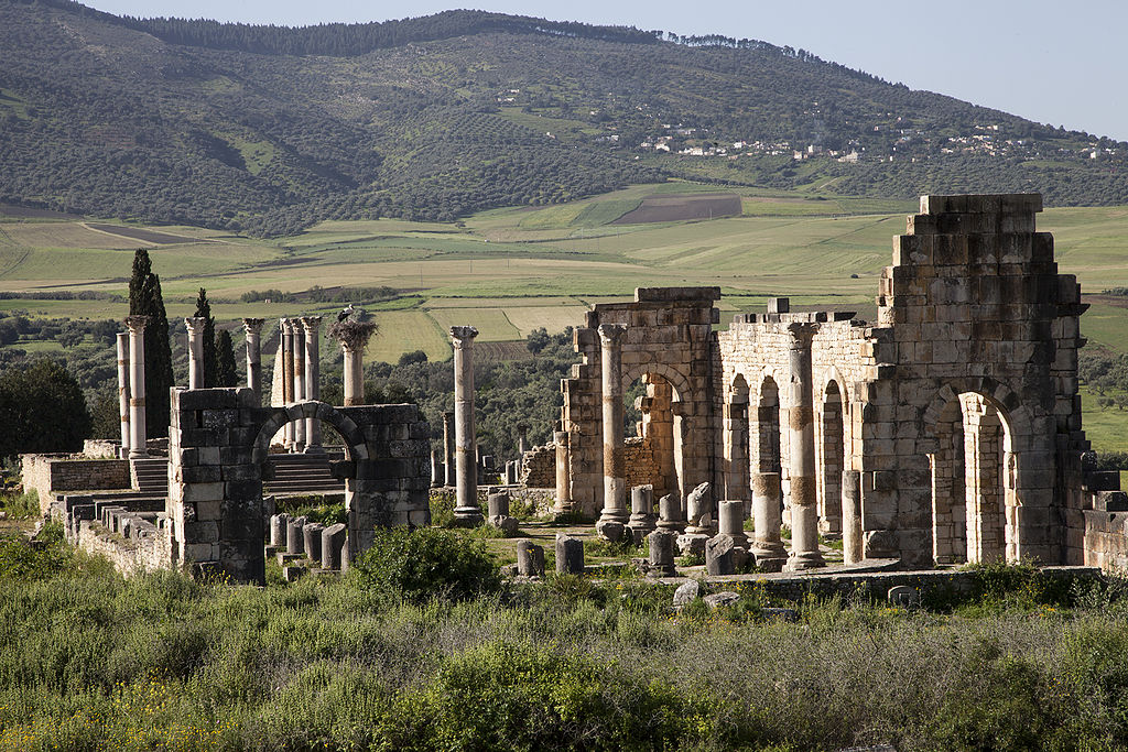 1024px-Volubilis_Longshot_II